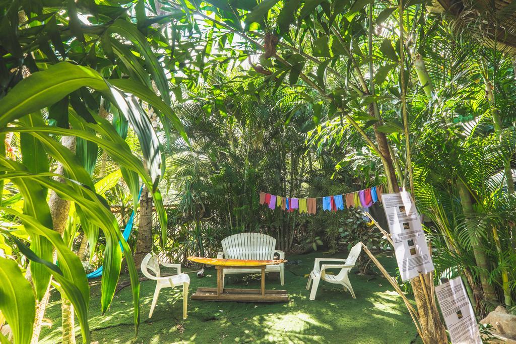 Pura Vida Hostel تاماريندو المظهر الخارجي الصورة