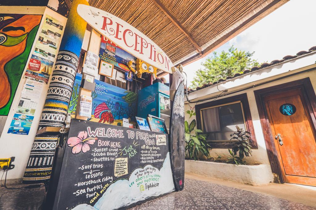 Pura Vida Hostel تاماريندو المظهر الخارجي الصورة